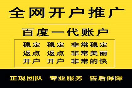 某知名品牌网络推广竞价全解析